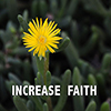 Increase Faith - Positive Thinking  Doctor - David J. Abbott M.D.